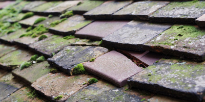 Saltford roof repair costs